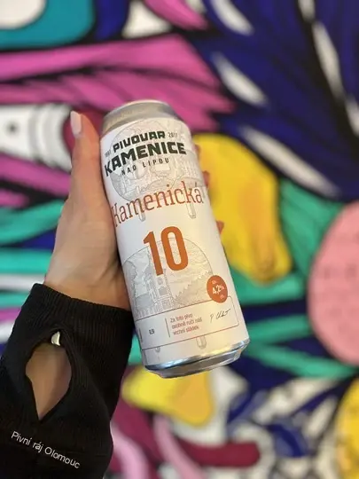 Kamenice n. Lipou Kamenická 10° 500 ml plech