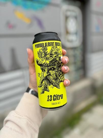 Albert Michler Citra SMASH Ale 500ml