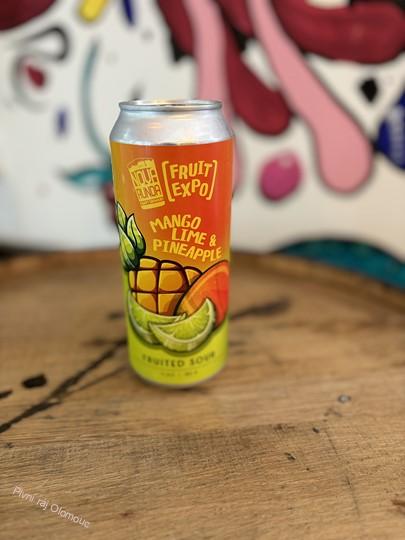 Nova Runda Fruited Sour 500 ml (plech)