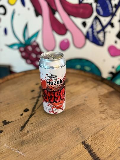 Mazák Malina & Badyán Gose 500 ml (plech)
