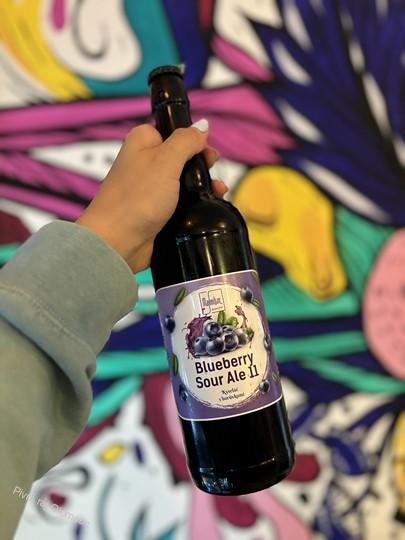 Maxmilián Blueberry Sour Ale 11° 750 ml