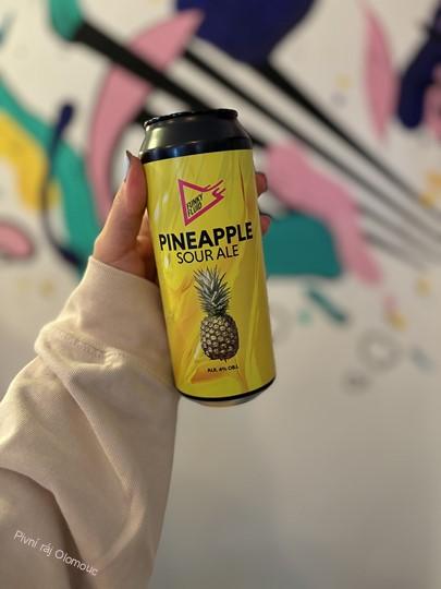 Funky Fluid Ananas Sour Ale