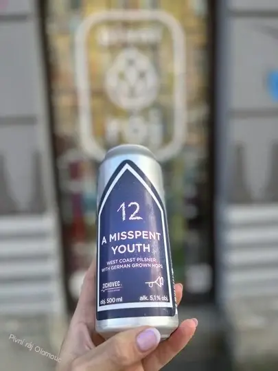 Zichovec Misspent Youth 500 ml