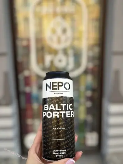 Nepomucen Baltic Porter 500 ml