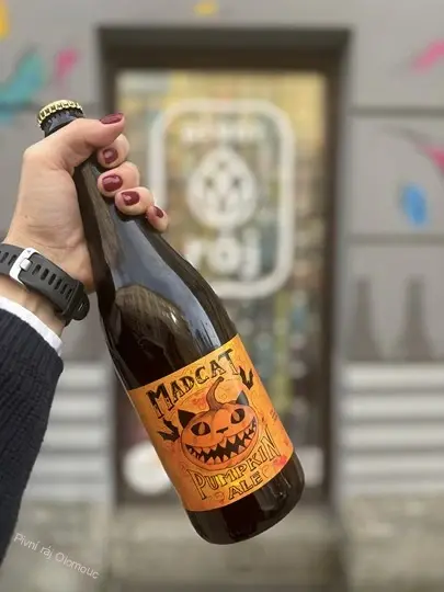 Madcat Pumpkin ale 750 ml
