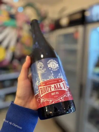 Topolský pivovar Brut-All V 750 ml
