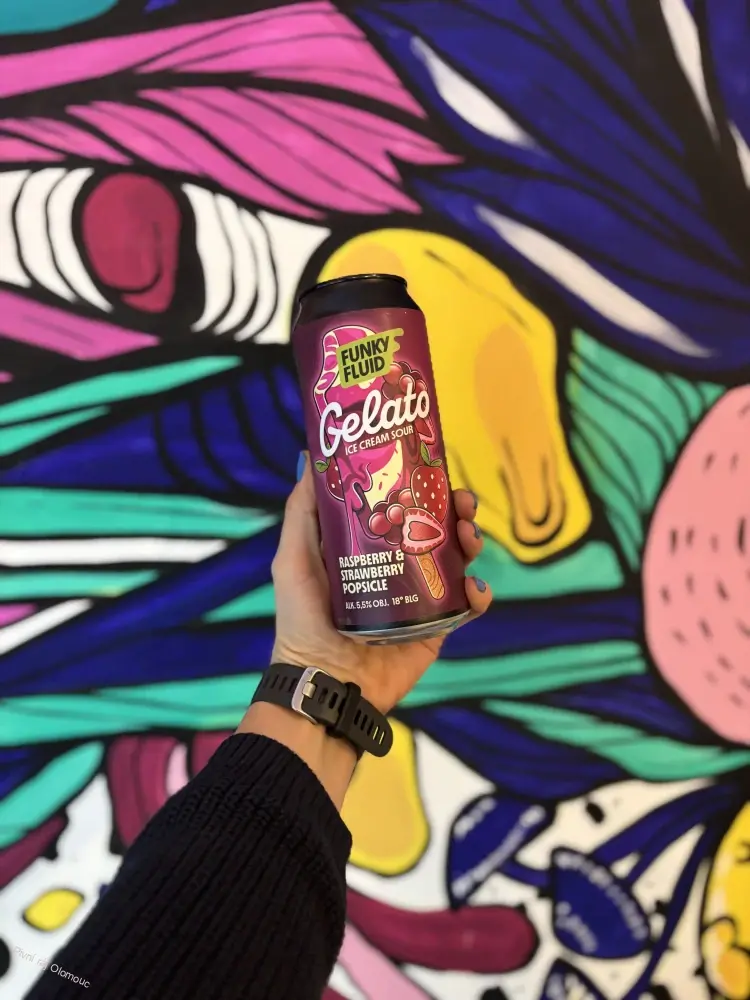 Funky Fluid Gelato Raspberry and strawberry popsicle 500 ml