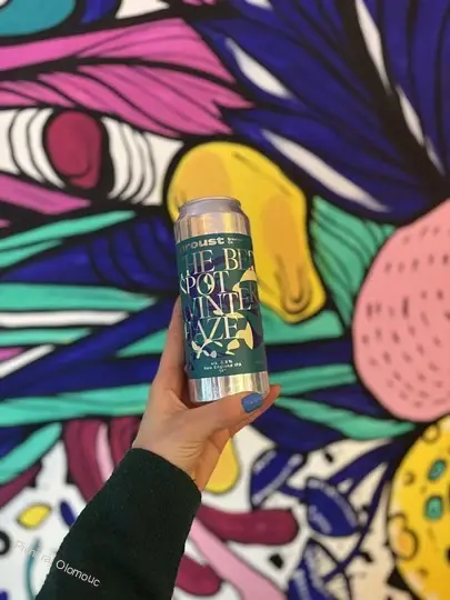Chroust The Beer Spot Winter Haze 500 ml