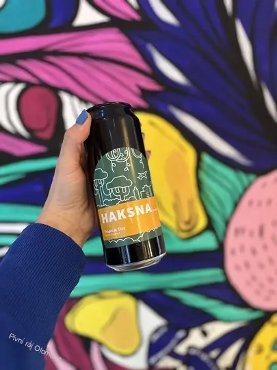 Haksna Brewery Tropical City 500 ml