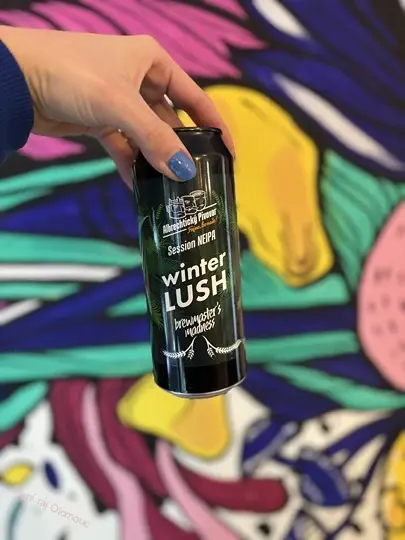 Albrechtický pivovar Winter Lush 500 ml