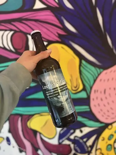 Castellum Brewery Lost in A Fjord 750 ml (sklo)