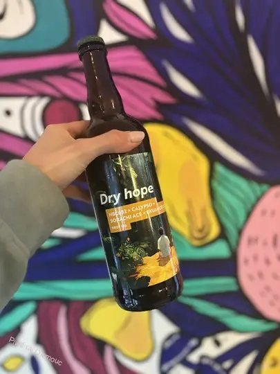 Castellum Brewery Dry hope 750 ml (sklo)