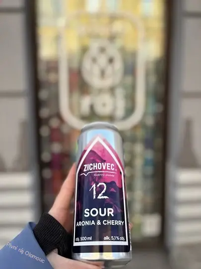 Zichovec Sour Aronia and Cherry 500 ml