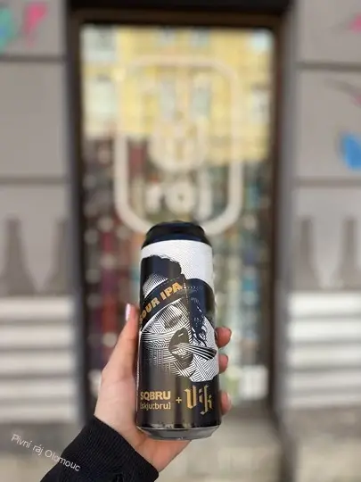 Vik + SQBRU Sour IPA 500 ml