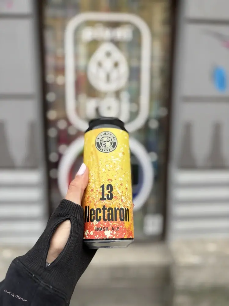 Albert Michler Nectaron SMASH Ale 500ml