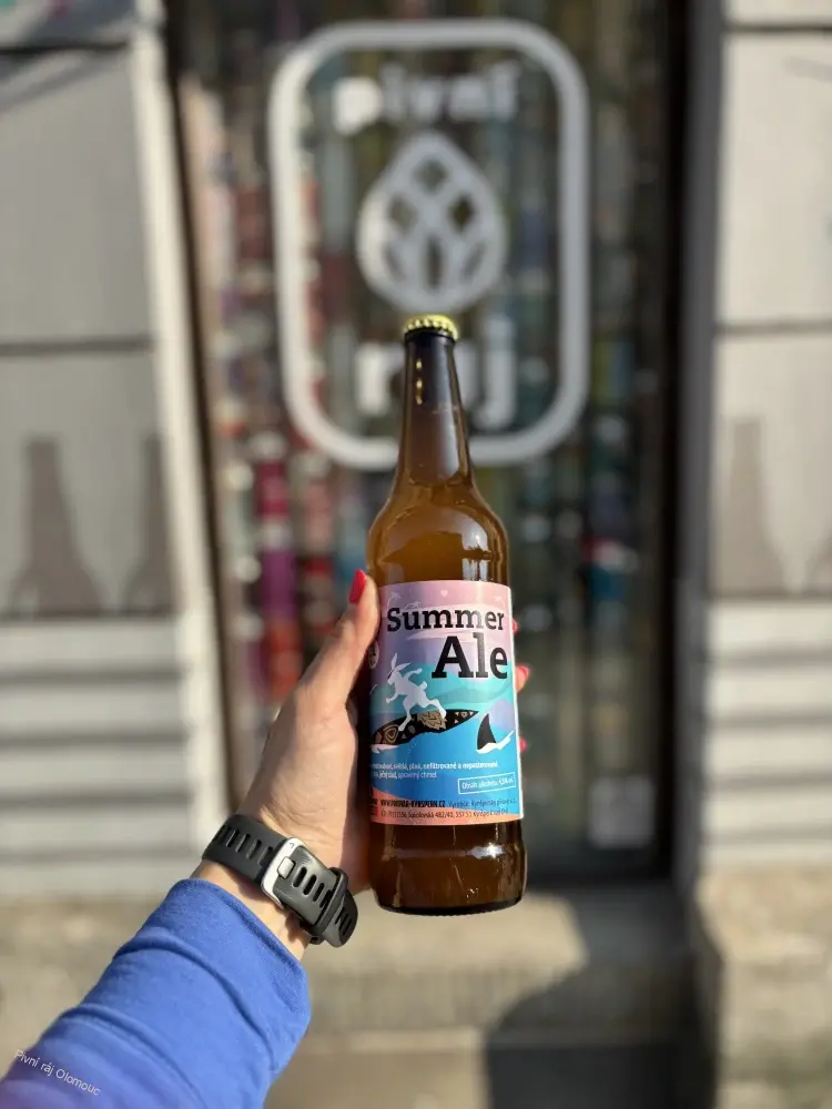 Kynšperský Zajíc Summer ale 500 ml
