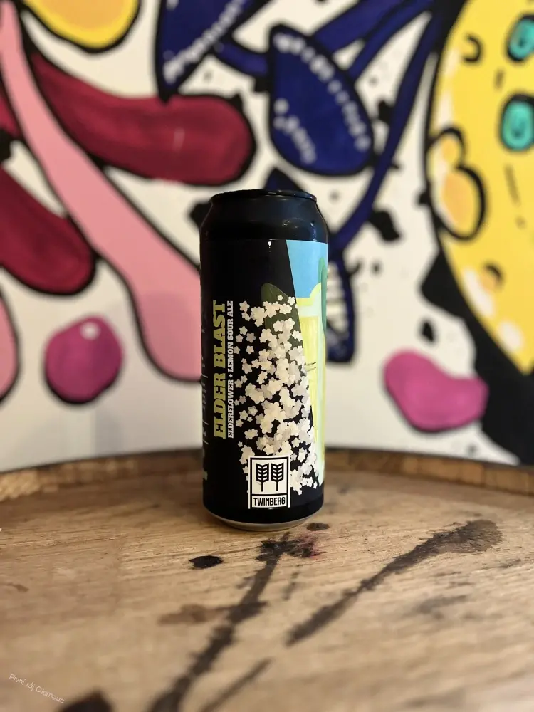 Twinberg Elderblast 500 ml