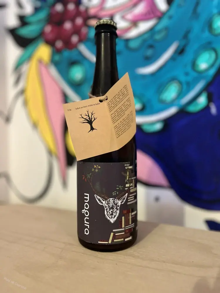 Létající pivovar Stín Magura APA 700 ml