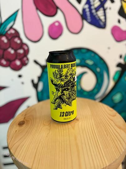 Albert Michler Citra SMASH Ale 500ml