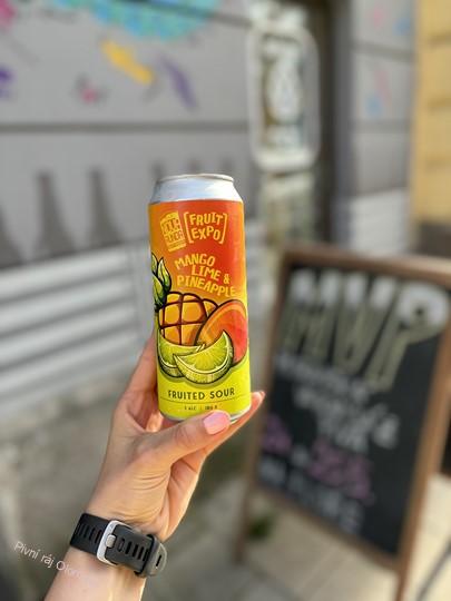 Nova Runda Fruited Sour 500 ml (plech)
