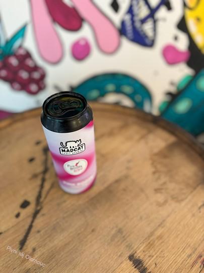 MadCat Pink Boots Hazy IPA 500 ml (plech)