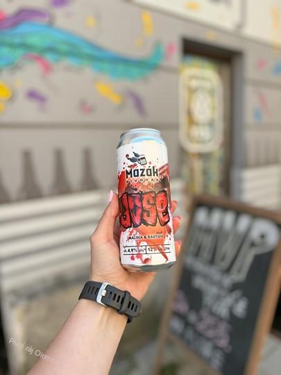 Mazák Malina & Badyán Gose 500 ml (plech)