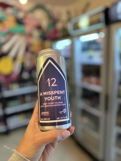 Zichovec Misspent Youth 500 ml