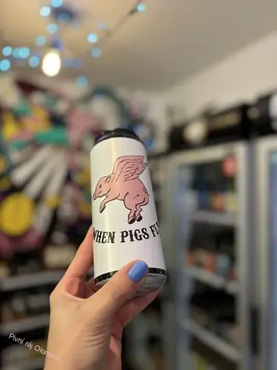 Vik When Pigs Fly 500 ml