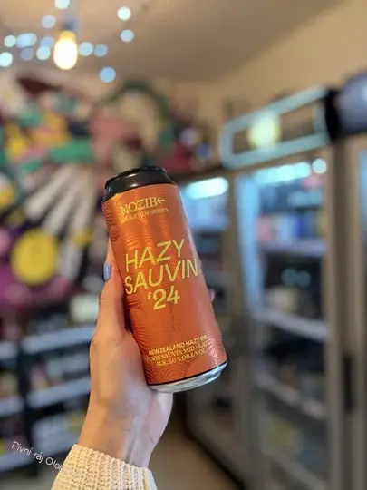 NOZIB Hazy Sauvin ´24 500 ml (plech)