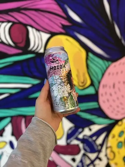 Mazák Zimní Pale Ale 500 ml