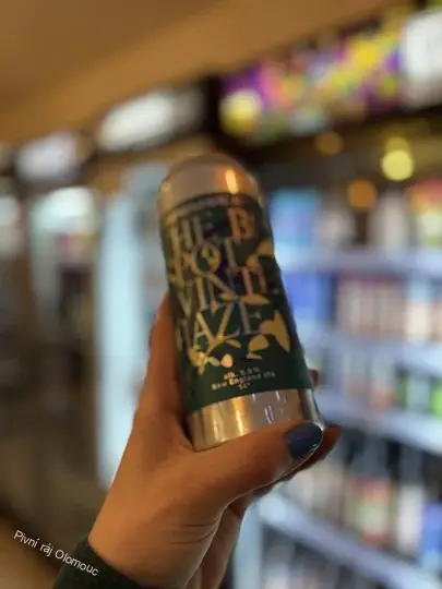 Chroust The Beer Spot Winter Haze 500 ml