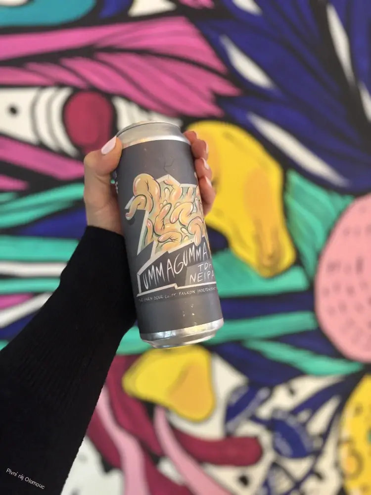 Falkon The Barn Ummagumma NEIPA 500 ml