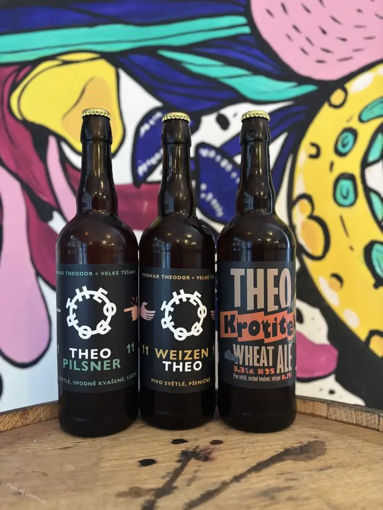 Theodor Sour beer 10 Maracuja, pomeranč,guava 500 ml