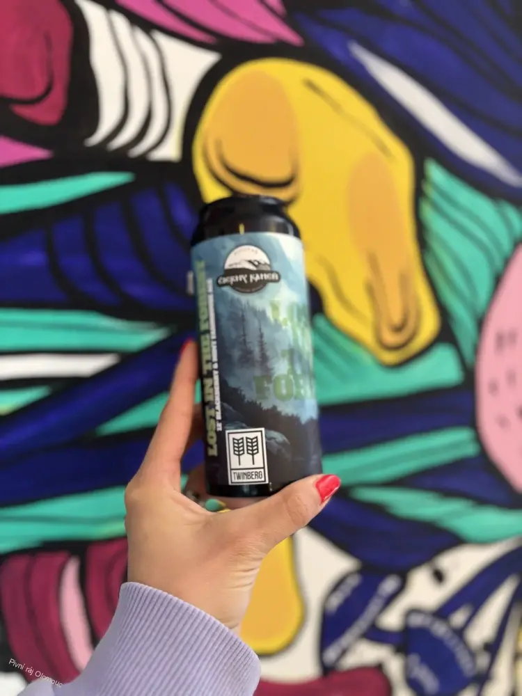 Twinberg a Čierny Kameň Lost in the forest 500 ml
