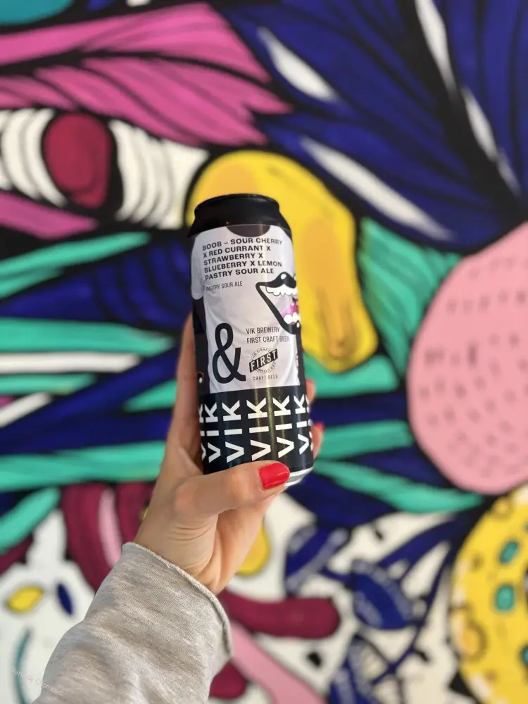 Vik & FIRST Craft Beer Boob 500 ml