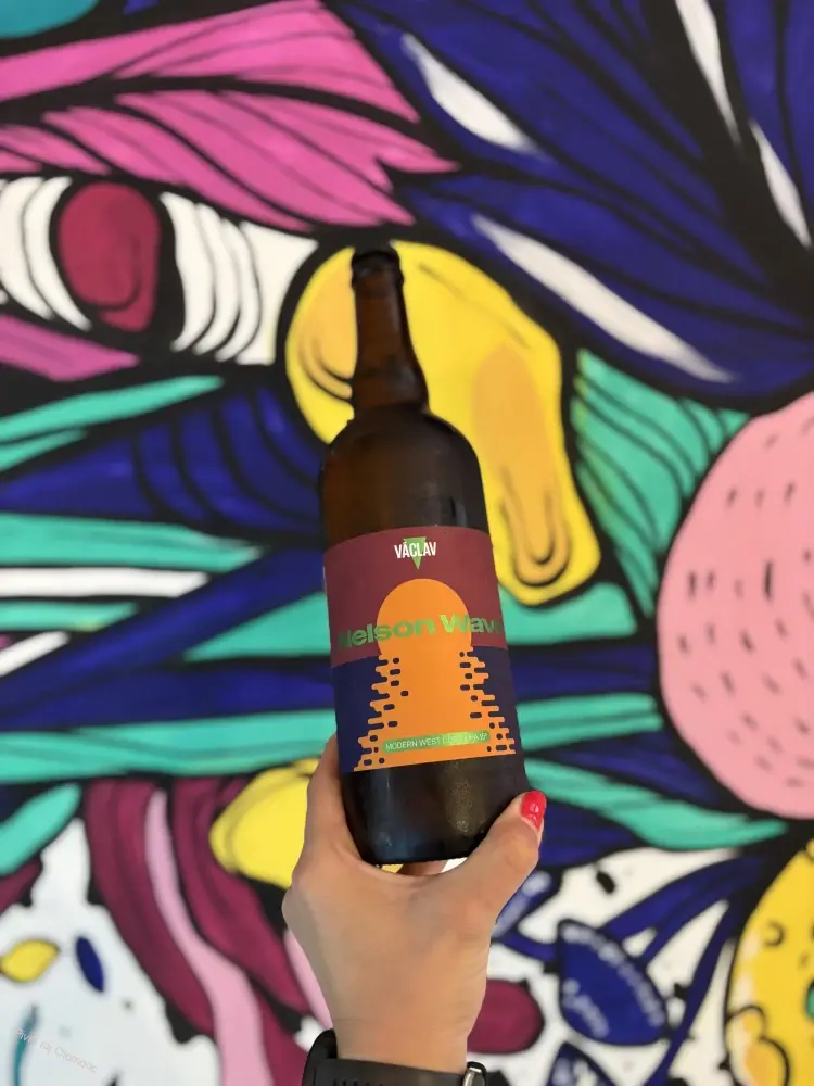 Václav Nelson Wave 750 ml