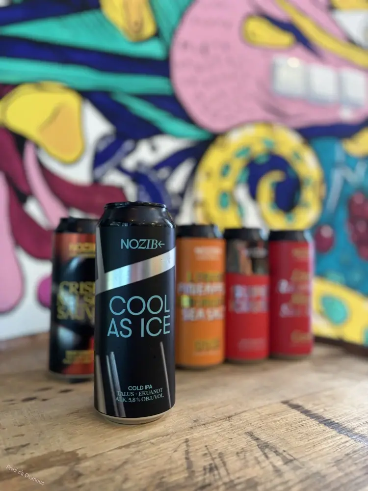 NOZIB Cool as ice 500 ml (plech)