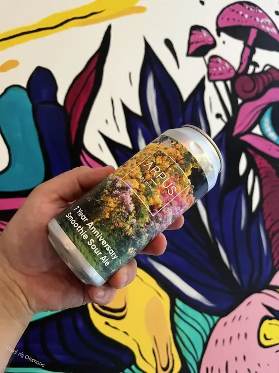 Arpus 7 year anniversary Smoothie Sour ale.