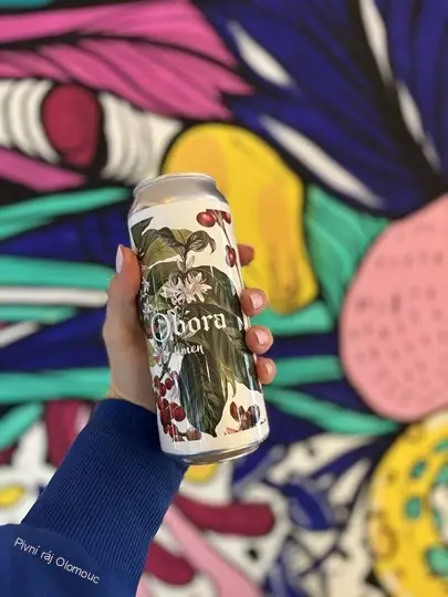 Obora Kmen Sour ale Cascara a káva 500 ml
