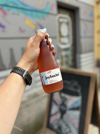 Joybucha Malina 330 ml