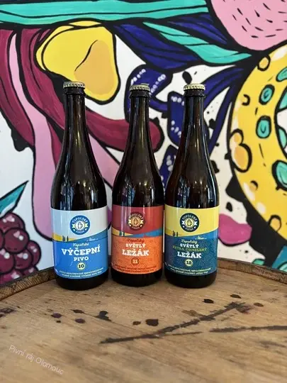 Topolský pivovar Světlý ležák 11° 750 ml (sklo)