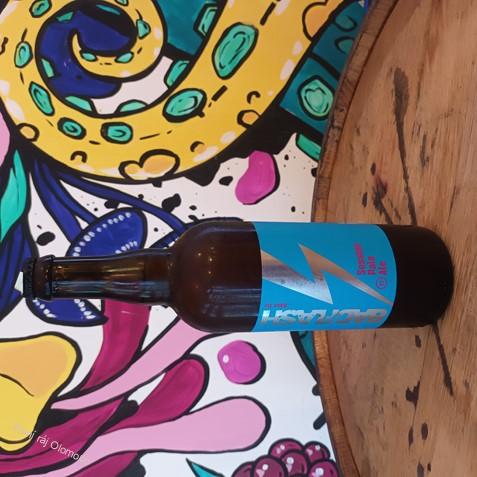 Bad Flash Bikini ale 750 ml