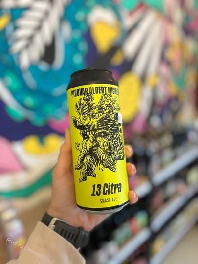 Albert Michler Citra SMASH Ale 500ml