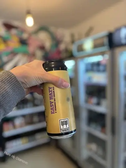 Twinberg Easy hazy 500ml
