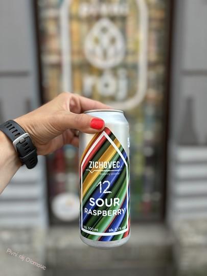 Zichovec Sour Raspberry 500 ml