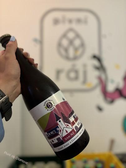 Topolský pivovar Sour Ale Rybíz Hrozen 750 ml