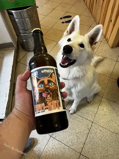Dejf a Nomád Apri-Kot 750 ml