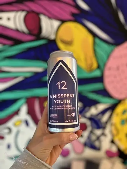 Zichovec Misspent Youth 500 ml