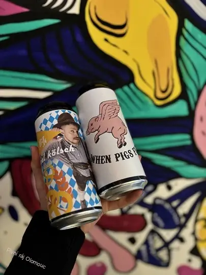 Vik Pretzel Kölsch 500 ml