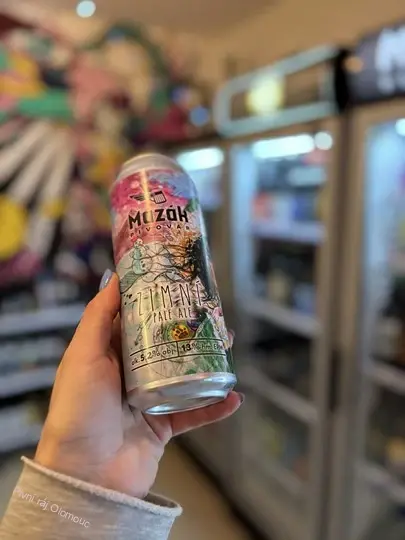 Mazák Zimní Pale Ale 500 ml